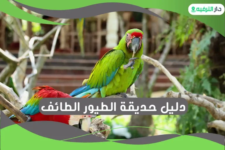 حديقة الطيور الطائف