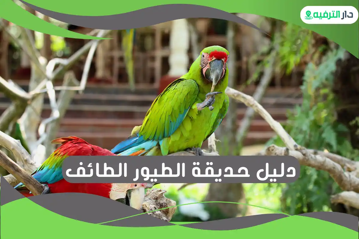 حديقة الطيور الطائف