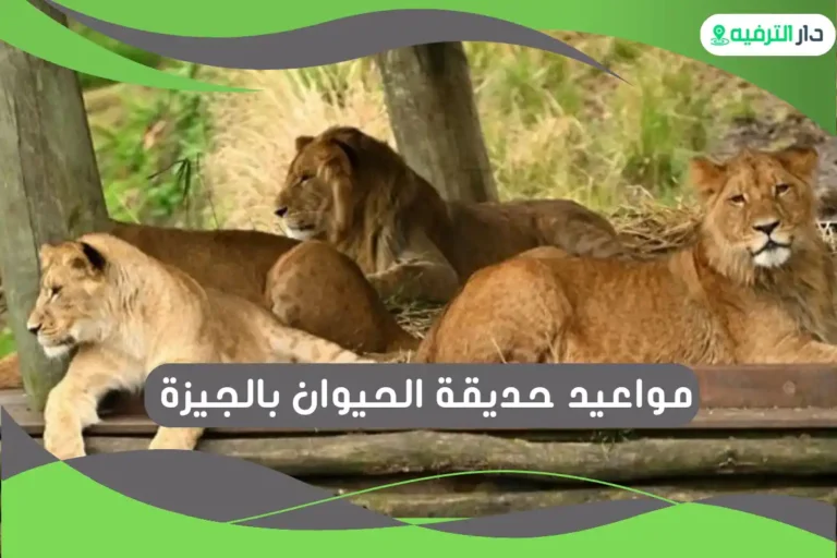 حديقة الحيوان بالجيزة