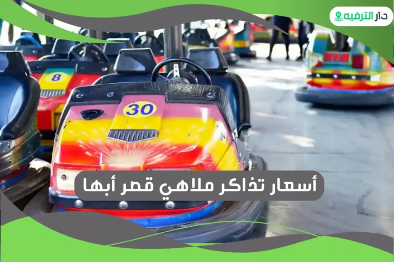 ملاهي قصر أبها