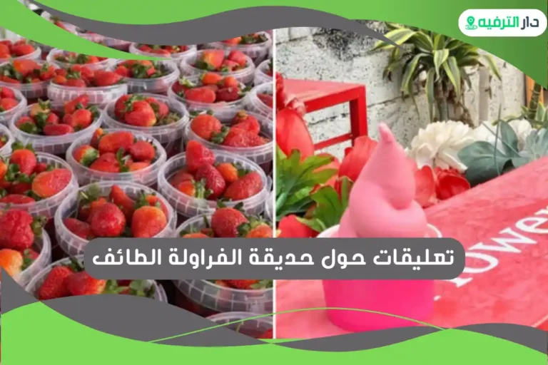 حديقة الفراولة الطائف
