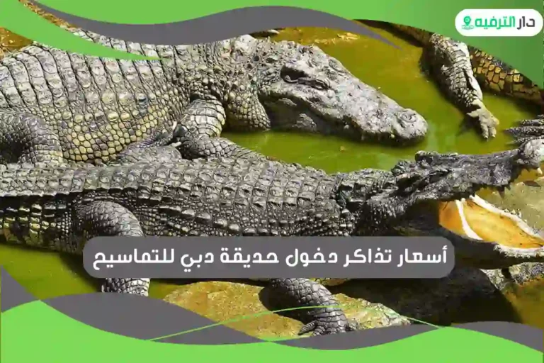 حديقة دبي للتماسيح