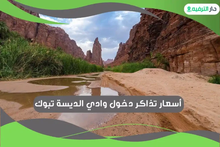 وادي الديسة تبوك