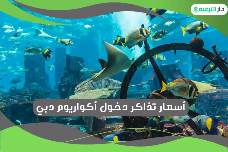 أكواريوم دبي