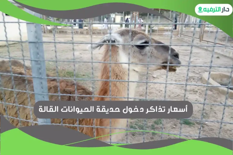 حديقة الحيوانات القالة