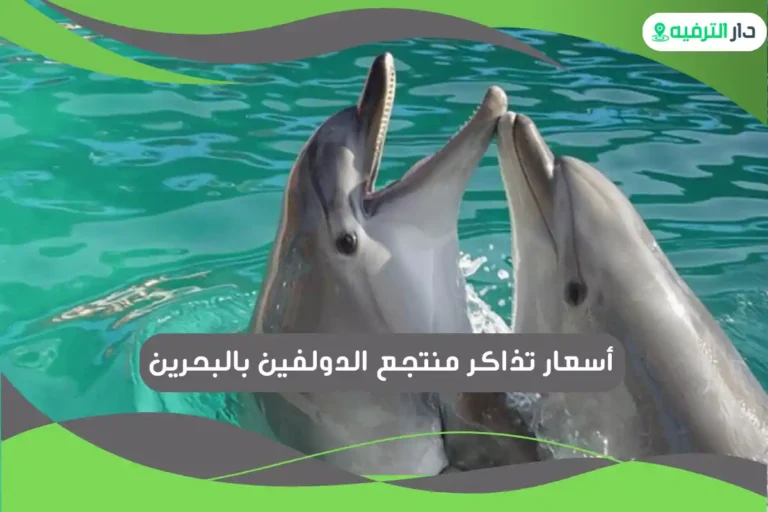 منتجع الدولفين بالبحرين
